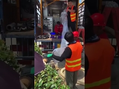 Réparation de tuyaux souterrains sans tranchée, égouts publics, équipement de traitement aux ultraviolets sans creusement