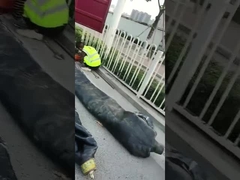 Bouchon de tuyauterie pour travaux d'égout